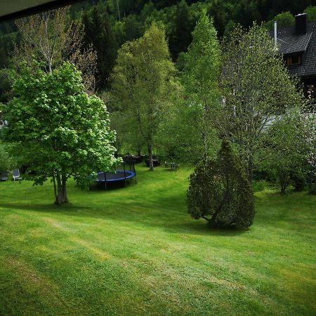 B1 Albmatte-Fewo Sauna, Hallenbad Aussenbecken Massagen Nebenan Menzenschwand-Hinterdorf エクステリア 写真