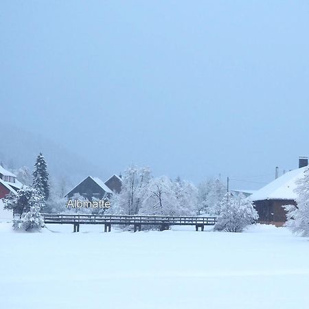 B1 Albmatte-Fewo Sauna, Hallenbad Aussenbecken Massagen Nebenan Menzenschwand-Hinterdorf エクステリア 写真