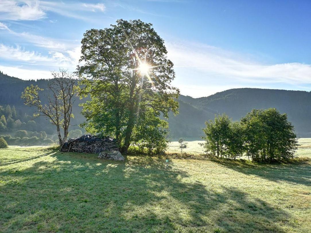 B1 Albmatte-Fewo Sauna, Hallenbad Aussenbecken Massagen Nebenan Menzenschwand-Hinterdorf エクステリア 写真