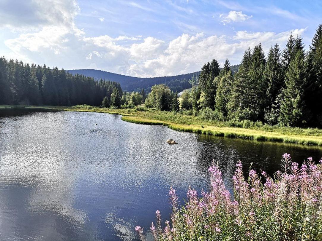 B1 Albmatte-Fewo Sauna, Hallenbad Aussenbecken Massagen Nebenan Menzenschwand-Hinterdorf エクステリア 写真