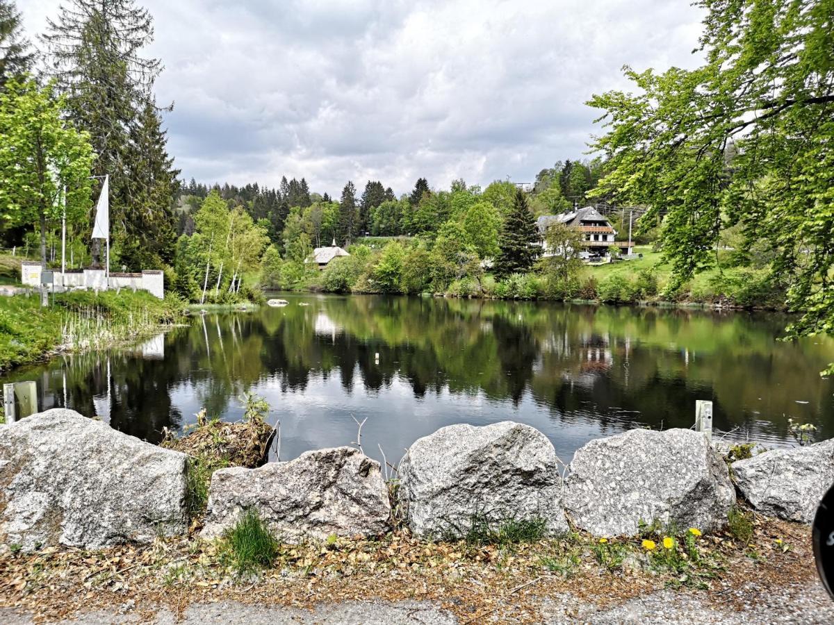 B1 Albmatte-Fewo Sauna, Hallenbad Aussenbecken Massagen Nebenan Menzenschwand-Hinterdorf エクステリア 写真