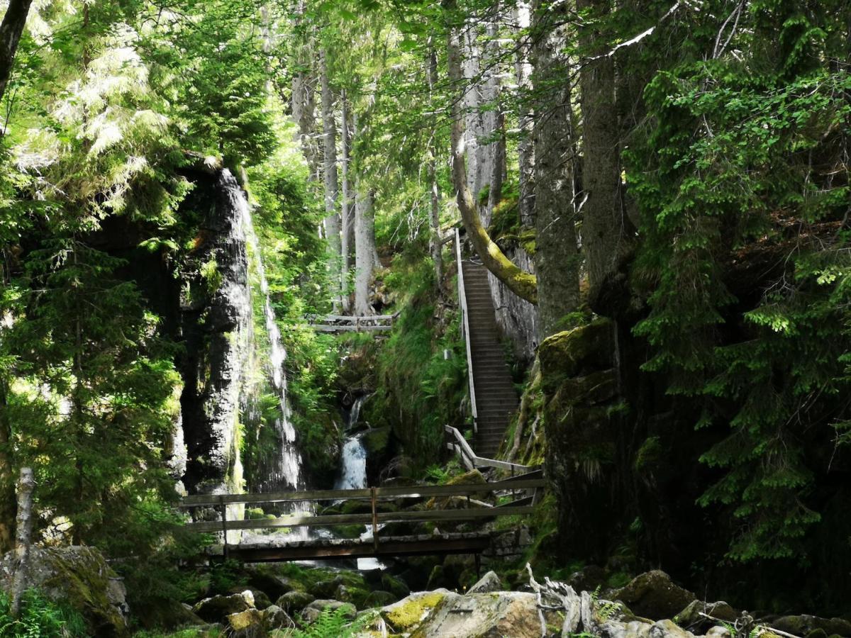 B1 Albmatte-Fewo Sauna, Hallenbad Aussenbecken Massagen Nebenan Menzenschwand-Hinterdorf エクステリア 写真