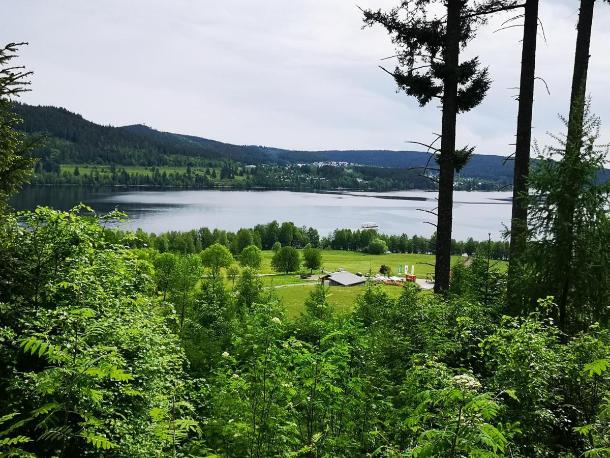 B1 Albmatte-Fewo Sauna, Hallenbad Aussenbecken Massagen Nebenan Menzenschwand-Hinterdorf エクステリア 写真