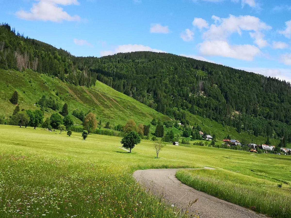B1 Albmatte-Fewo Sauna, Hallenbad Aussenbecken Massagen Nebenan Menzenschwand-Hinterdorf エクステリア 写真
