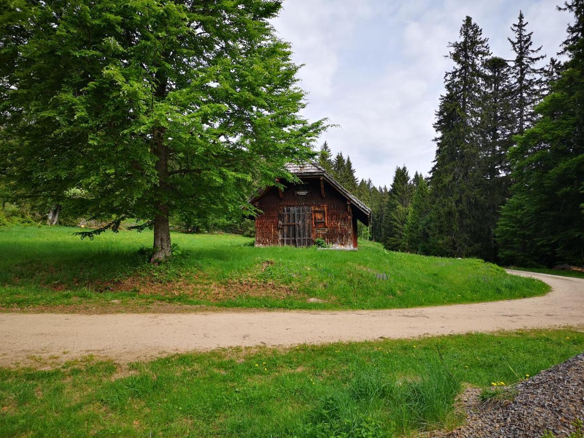 B1 Albmatte-Fewo Sauna, Hallenbad Aussenbecken Massagen Nebenan Menzenschwand-Hinterdorf エクステリア 写真