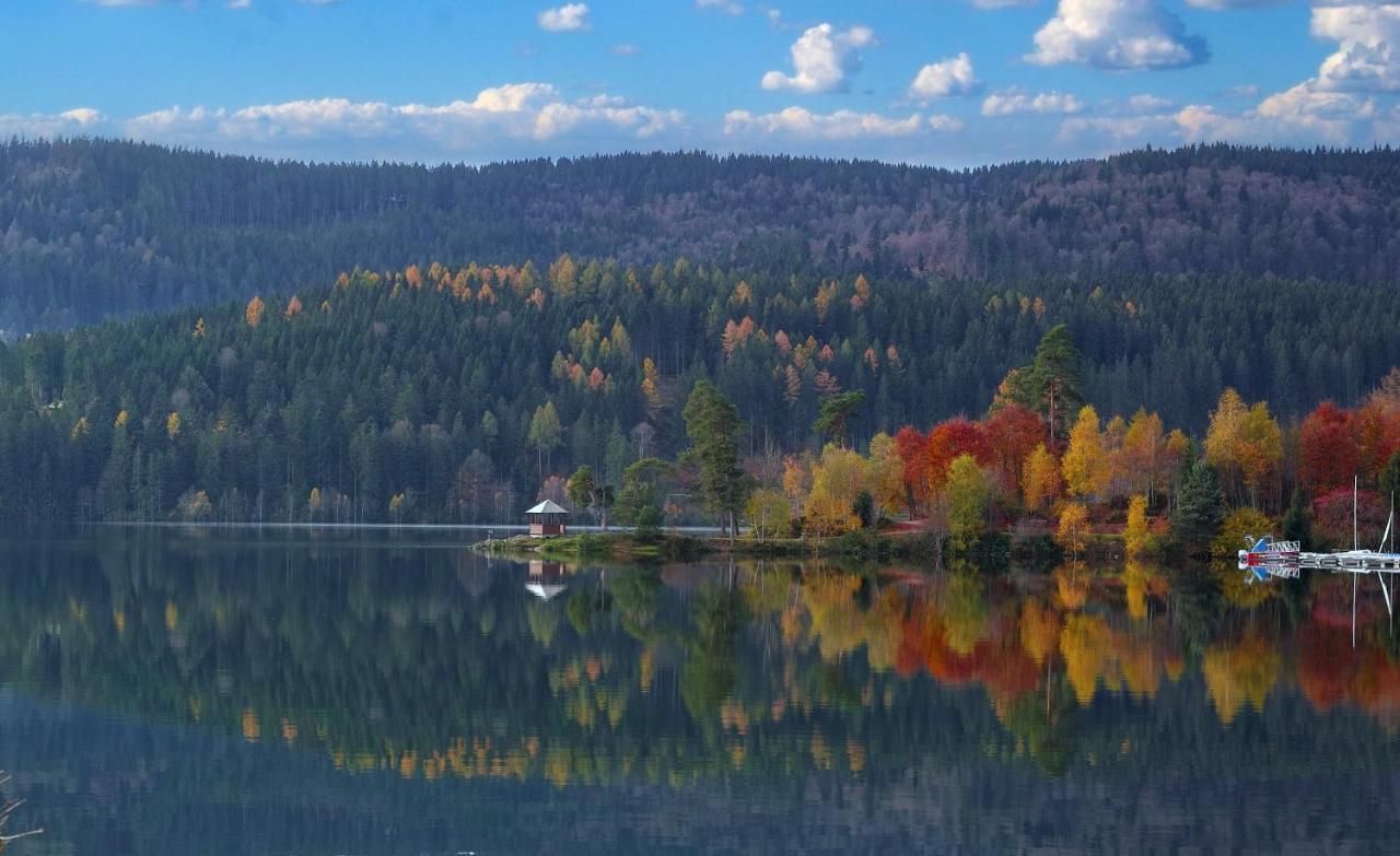 B1 Albmatte-Fewo Sauna, Hallenbad Aussenbecken Massagen Nebenan Menzenschwand-Hinterdorf エクステリア 写真
