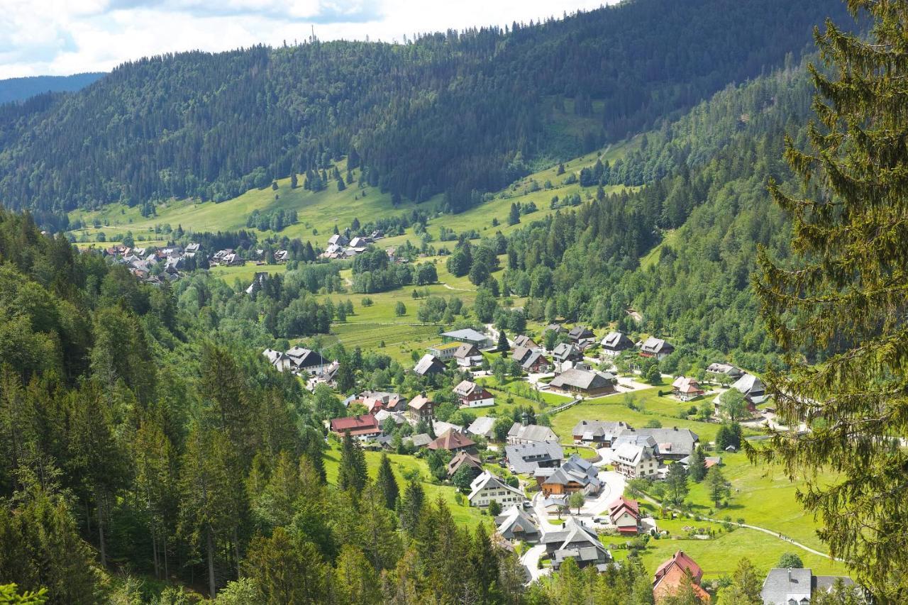 B1 Albmatte-Fewo Sauna, Hallenbad Aussenbecken Massagen Nebenan Menzenschwand-Hinterdorf エクステリア 写真