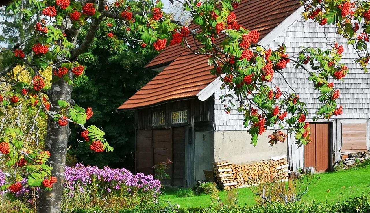 B1 Albmatte-Fewo Sauna, Hallenbad Aussenbecken Massagen Nebenan Menzenschwand-Hinterdorf エクステリア 写真
