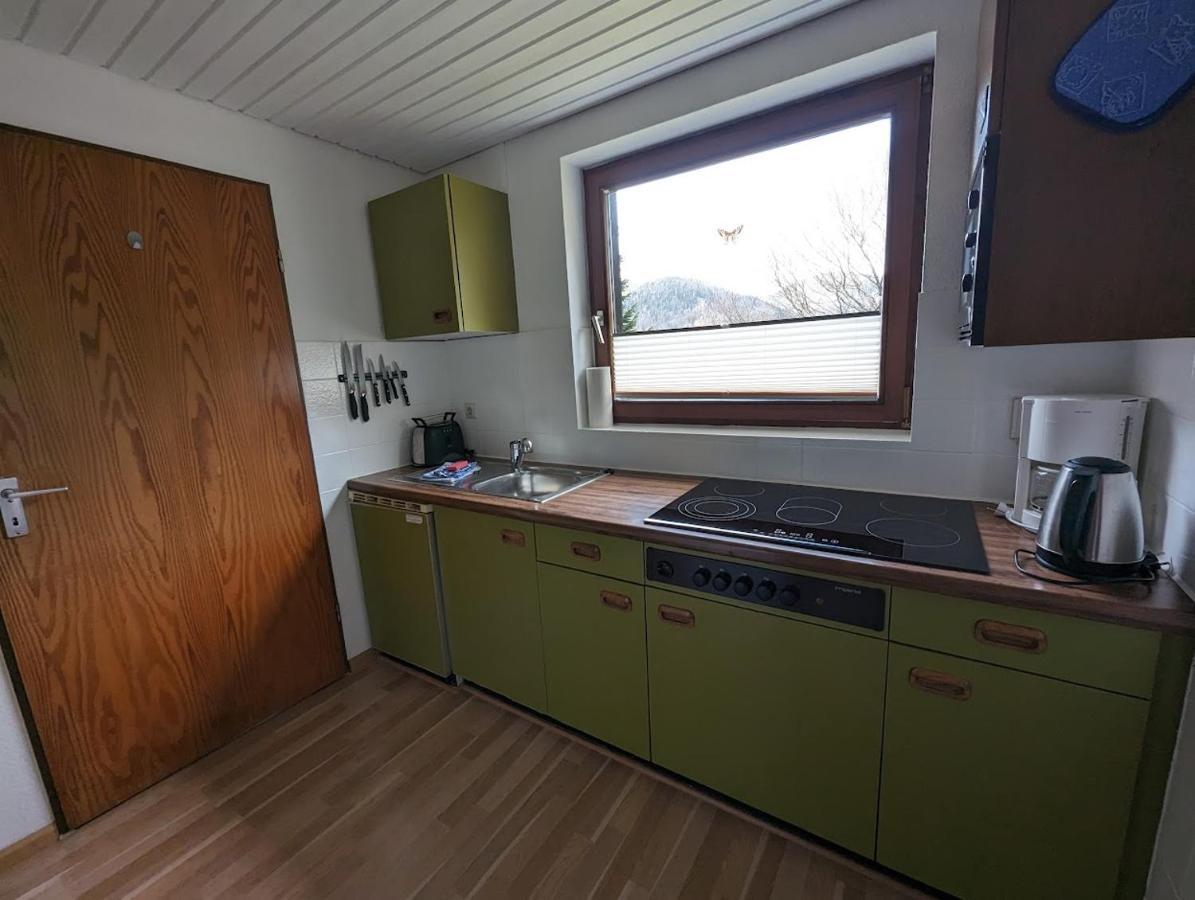 B1 Albmatte-Fewo Sauna, Hallenbad Aussenbecken Massagen Nebenan Menzenschwand-Hinterdorf エクステリア 写真