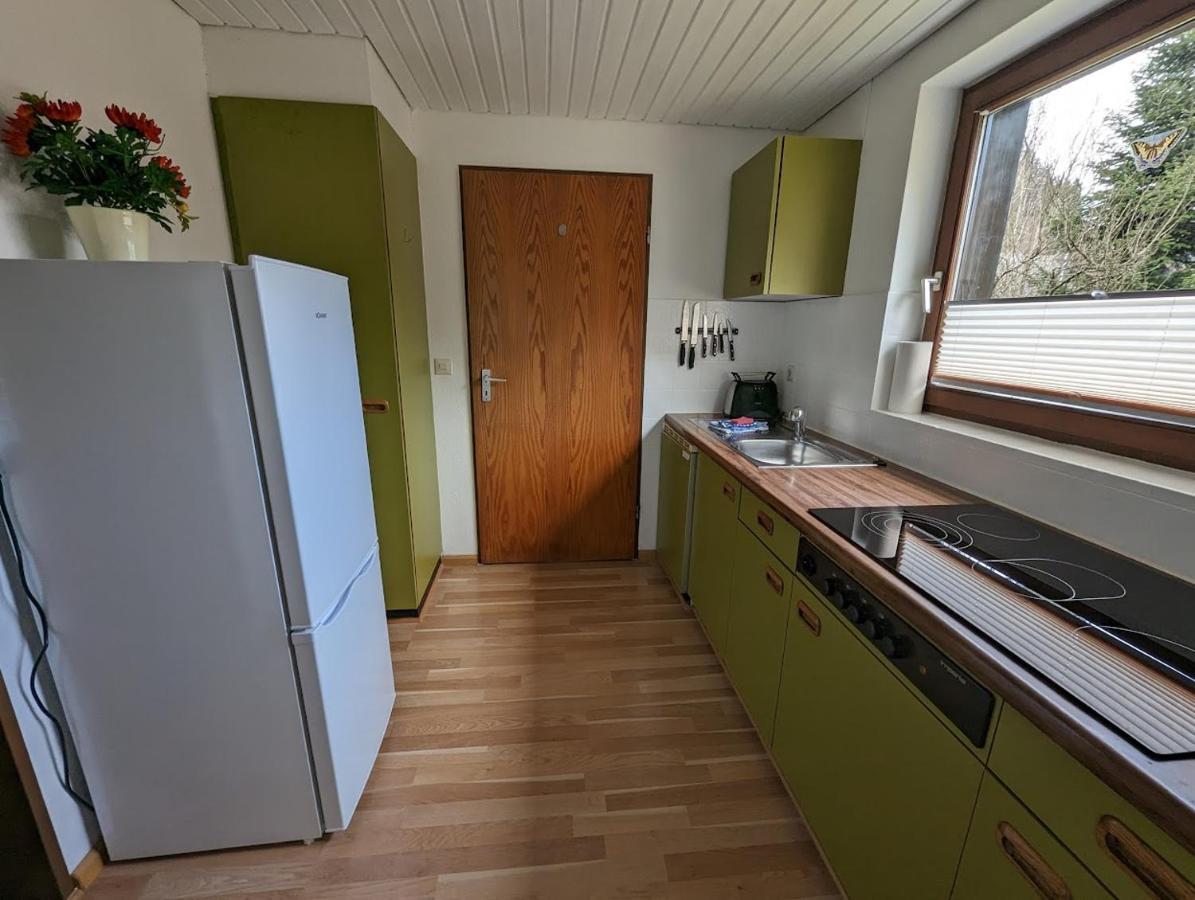 B1 Albmatte-Fewo Sauna, Hallenbad Aussenbecken Massagen Nebenan Menzenschwand-Hinterdorf エクステリア 写真