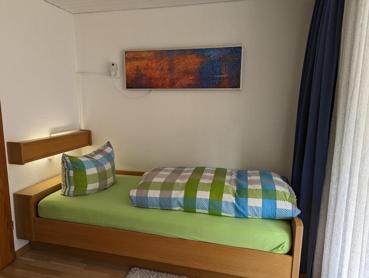 B1 Albmatte-Fewo Sauna, Hallenbad Aussenbecken Massagen Nebenan Menzenschwand-Hinterdorf エクステリア 写真