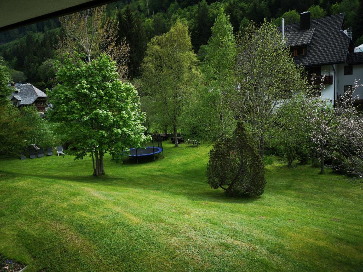 B1 Albmatte-Fewo Sauna, Hallenbad Aussenbecken Massagen Nebenan Menzenschwand-Hinterdorf エクステリア 写真