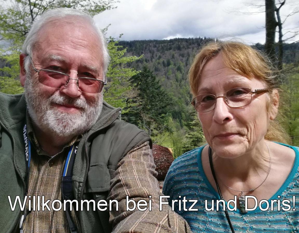 B1 Albmatte-Fewo Sauna, Hallenbad Aussenbecken Massagen Nebenan Menzenschwand-Hinterdorf エクステリア 写真