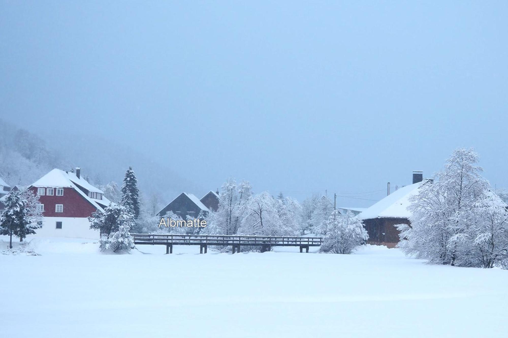 B1 Albmatte-Fewo Sauna, Hallenbad Aussenbecken Massagen Nebenan Menzenschwand-Hinterdorf エクステリア 写真