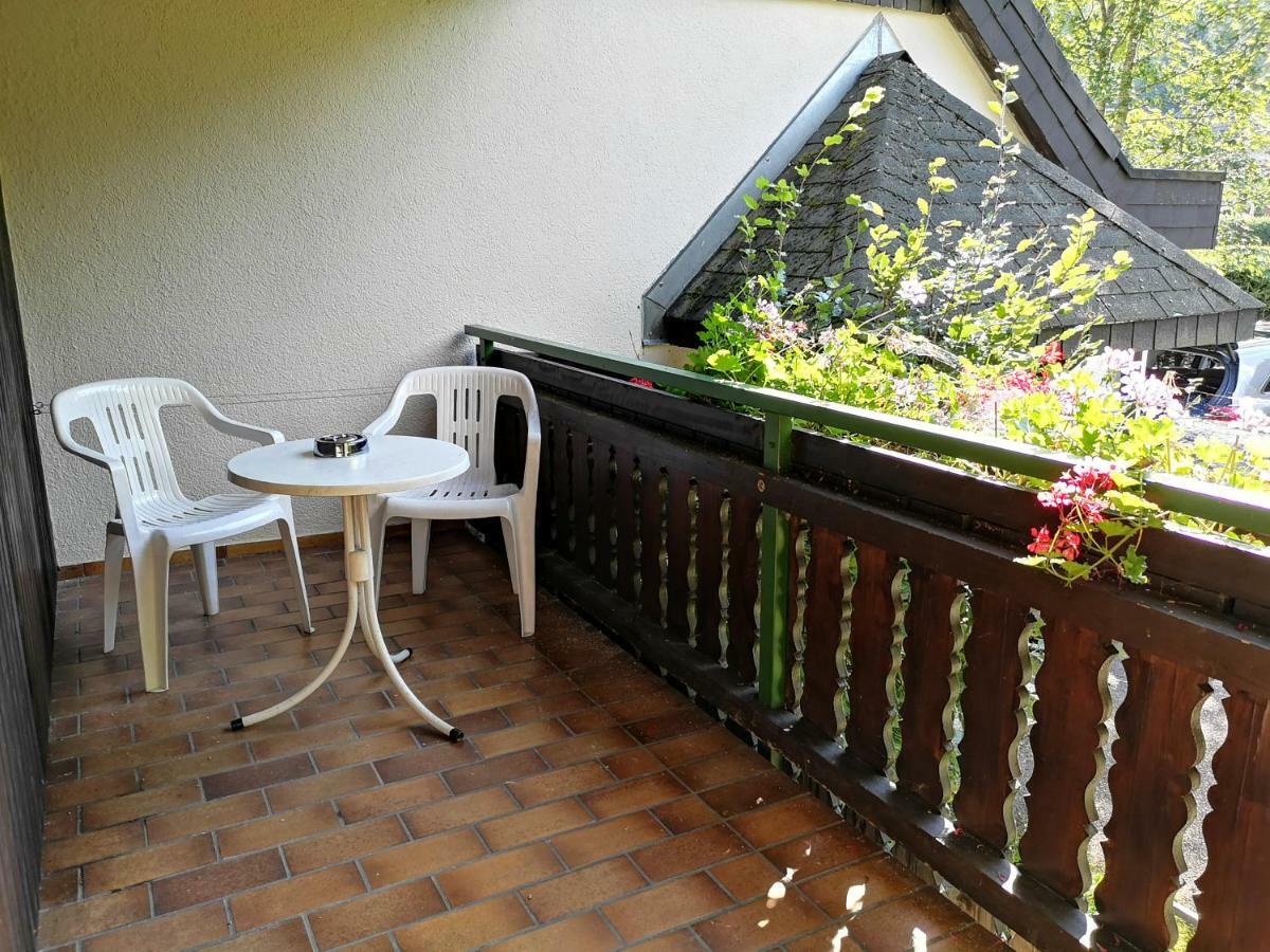 B1 Albmatte-Fewo Sauna, Hallenbad Aussenbecken Massagen Nebenan Menzenschwand-Hinterdorf エクステリア 写真