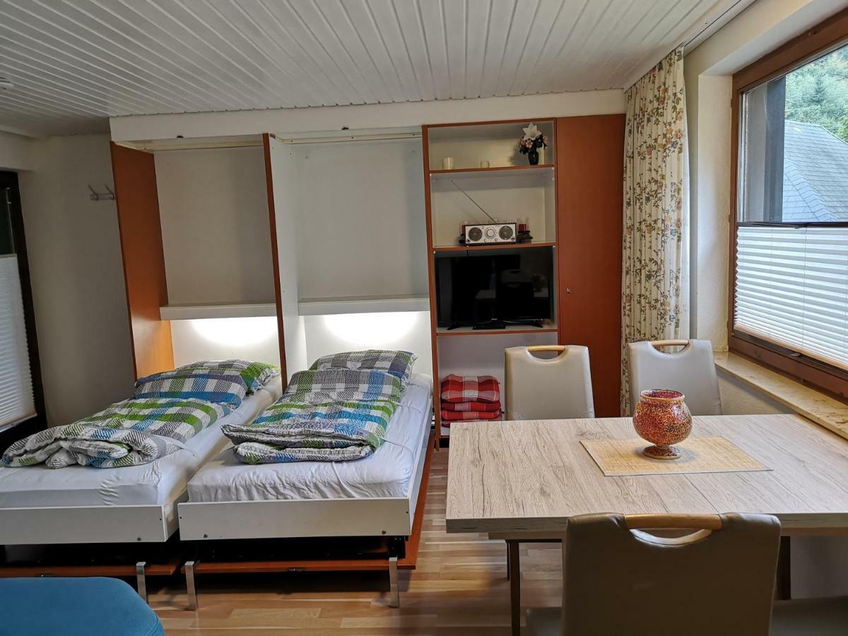 B1 Albmatte-Fewo Sauna, Hallenbad Aussenbecken Massagen Nebenan Menzenschwand-Hinterdorf エクステリア 写真