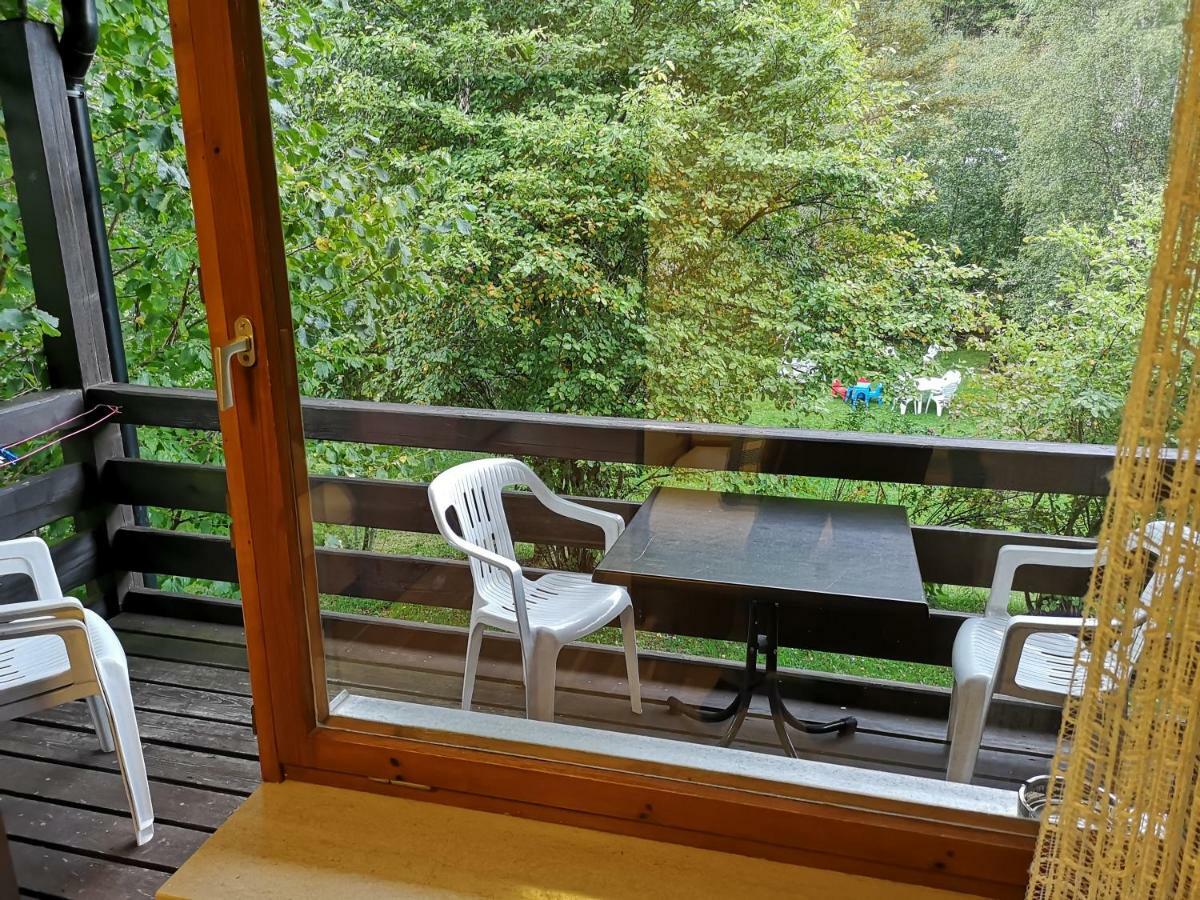 B1 Albmatte-Fewo Sauna, Hallenbad Aussenbecken Massagen Nebenan Menzenschwand-Hinterdorf エクステリア 写真