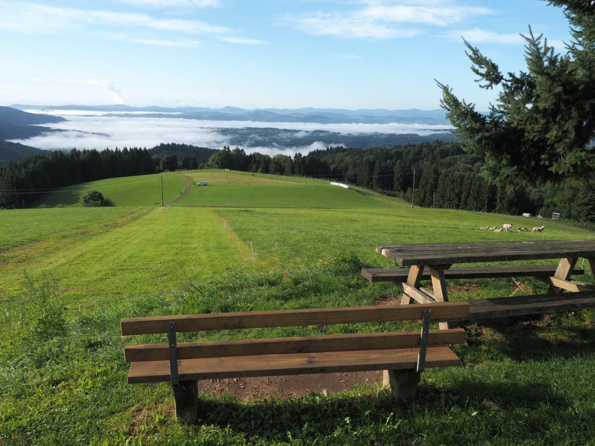 B1 Albmatte-Fewo Sauna, Hallenbad Aussenbecken Massagen Nebenan Menzenschwand-Hinterdorf エクステリア 写真