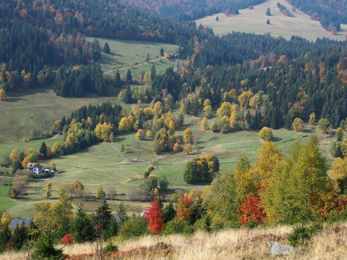 B1 Albmatte-Fewo Sauna, Hallenbad Aussenbecken Massagen Nebenan Menzenschwand-Hinterdorf エクステリア 写真