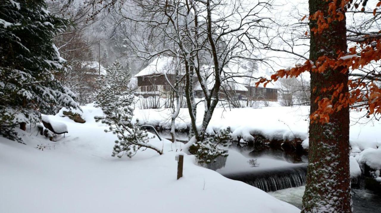 B1 Albmatte-Fewo Sauna, Hallenbad Aussenbecken Massagen Nebenan Menzenschwand-Hinterdorf エクステリア 写真